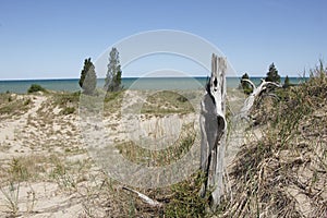 Sparsely Vegetated Sand Dune Overlooking Lake Huro