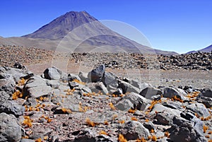Spartan volcanic landscape of the Atacama Desert