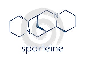 Sparteine scotch broom alkaloid molecule. Skeletal formula.