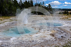 Spasmodic geyser Yellowstone