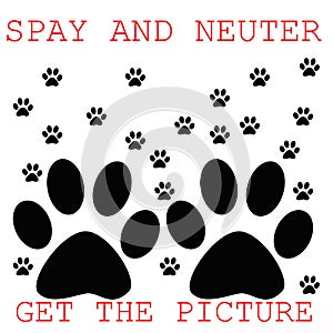 Spay ans neuter