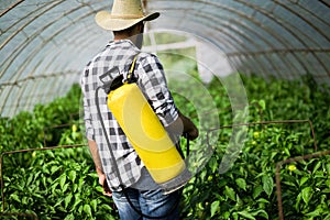 Spaying vegetables with water or plant protection products such as pesticides against diseases