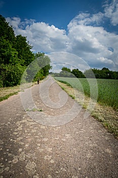 Walking the dog in Germany