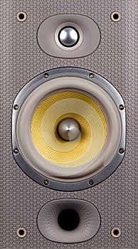 Speaker closeup