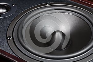 Speaker closeup