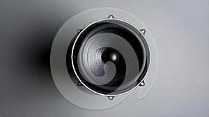Speaker front view
