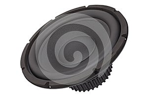 Speaker / Sub-woofer