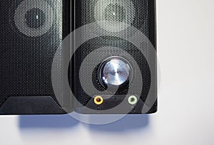 Speakers for a personal computer. Installed audio system on the desktop