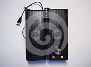 Speakers for a personal computer. Installed audio system on the desktop