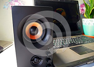 Speakers for a personal computer. Installed audio system on the desktop