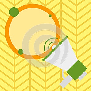 SpeakingTrumpet with Volume Icon and Blank Round Speech Bubble. Colored Empty Text Balloon Floating beside Megaphone photo