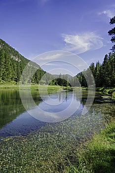 Spearfish Canyon in the Summer
