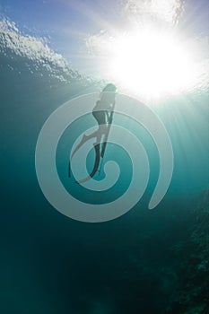 Spearfishing on the reef