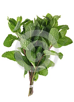 Spearmint bunch