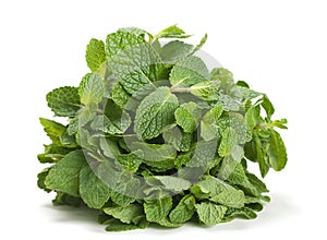 Spearmint herb photo