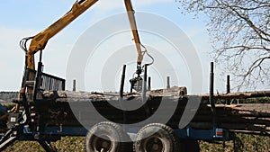 Special cargo truck with crane unload logs from truck. Forest fell.