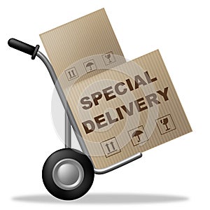 Special Delivery Indicates Shipping Box And Cardboard