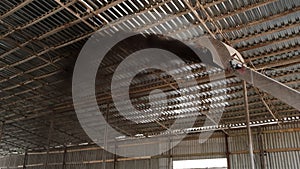 Special drying equipment working with rapeseeds