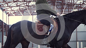 In special hangar, a young disabled man learns to ride a black, thoroughbred horse, hippotherapy. man has an artificial