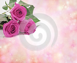 Special Mothering Sunday Pink Roses