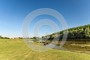 Special Nature Reserve Koviljsko Petrovaradinski Rit in Serbia.