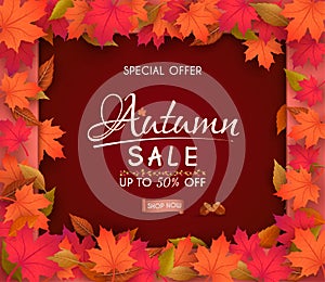 Special offer autumn  sale banner design. with colorful seasonal fall leaves