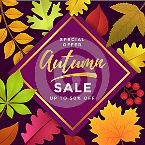 Special Offer Autumn Sale Poster Template Design