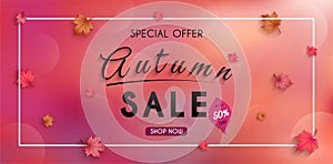 Special offer autumn. and sales banner Design. with colorful seasonal fall leaves