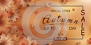 Special offer autumn. and sales banner Design. with colorful seasonal fall leaves