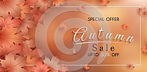 Special offer autumn. and sales banner Design. with colorful seasonal fall leaves