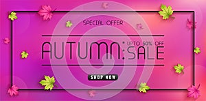 Special offer autumn. and sales banner Design. with colorful seasonal fall leaves