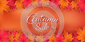 Special offer autumn. and sales banner Design.