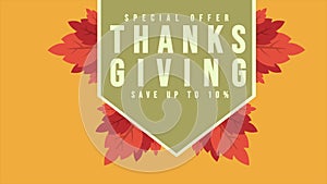 Special offer Thanksgivin style with leaf footage