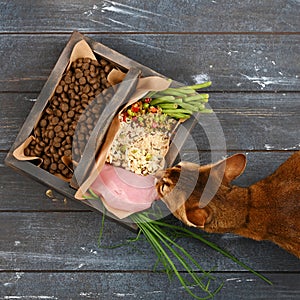 Zvláštní domácí zvíře jídlo proti přírodní domácí zvíře jídlo. složení kroupy vzrůst zelenina a klíčky v hnědý dřevěný krabice 