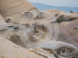 Special rocks, Sea Candles in Yehliu Geopark