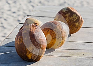 special single hole of coconut shell difference