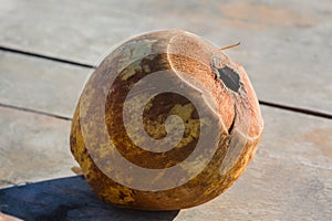 special single hole of coconut shell difference