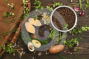 Special vegan pet food and natural raw ingredients on brown wooden background