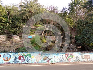 A water fall with trees