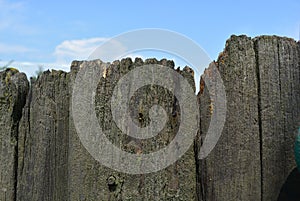 Special wooden logs are very old and stylish, a wooden fence with a blue sky.