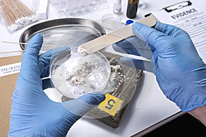 Specialised police check drugs on petri dish in crime lab