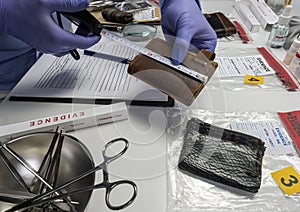 Specialised police officer measures wallet in crime lab photo