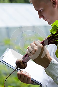 Specialist controlling red beet condition