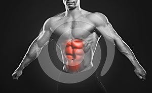 Specialization for abdominal muscles in bodybuilding sport