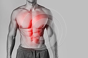 Specialization for chest and abdominal muscles in the bodybuilding