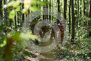 A specialized military antiterrorist unit conducts a covert operation in dense, hazardous woodland, demonstrating photo