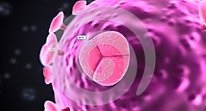 Specialized proteins called glycoproteins cover the viral membrane