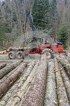 Specialized tractor forwarder folding wood in the forest. The Carpathians, Poland