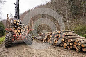 Specialized tractor forwarder folding wood in the forest. The Carpathians, Poland