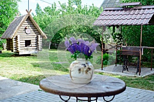 Specially equipped place for barbecue and wooden hut in the cour